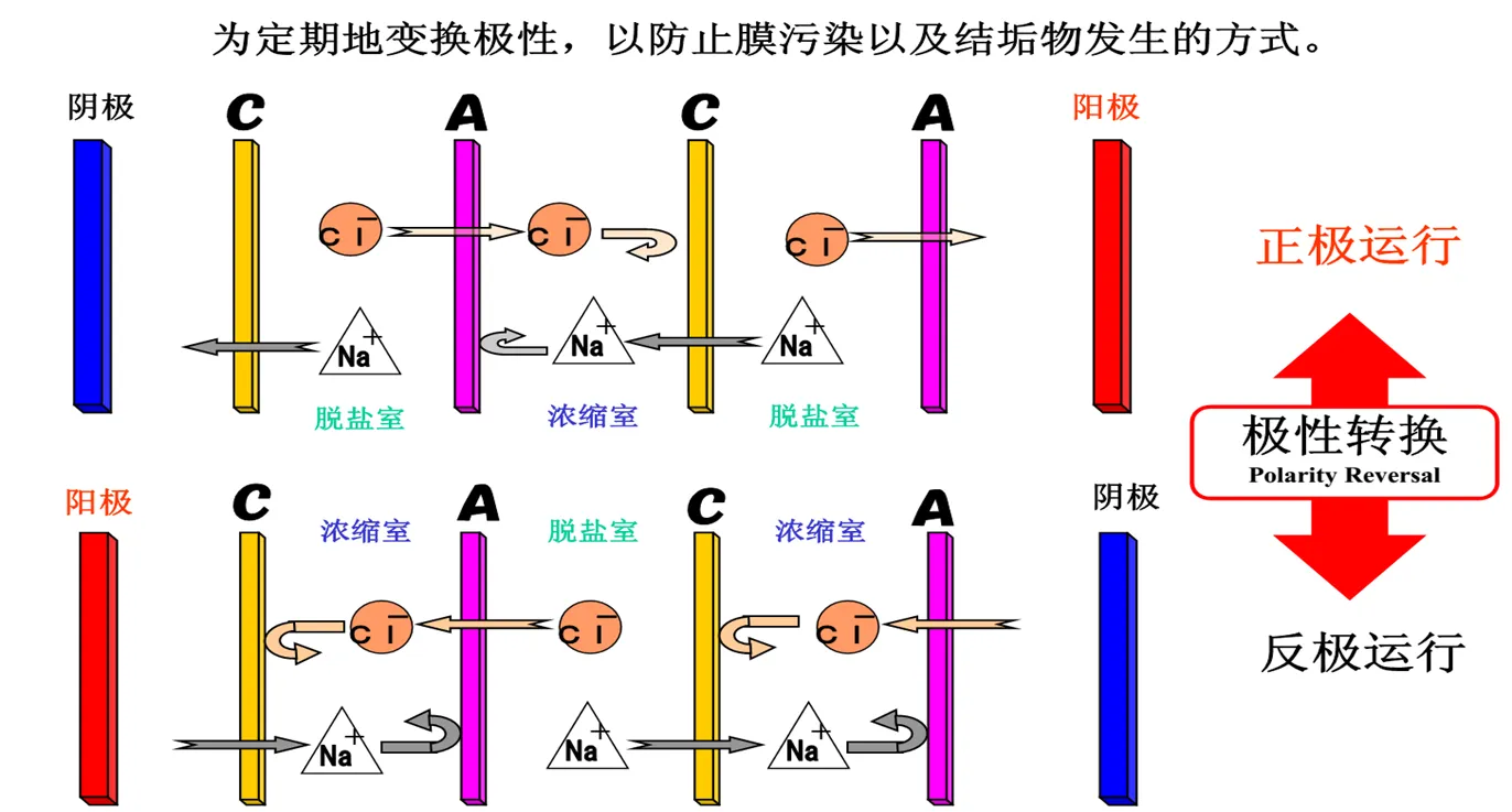 1622461324821029 11zon